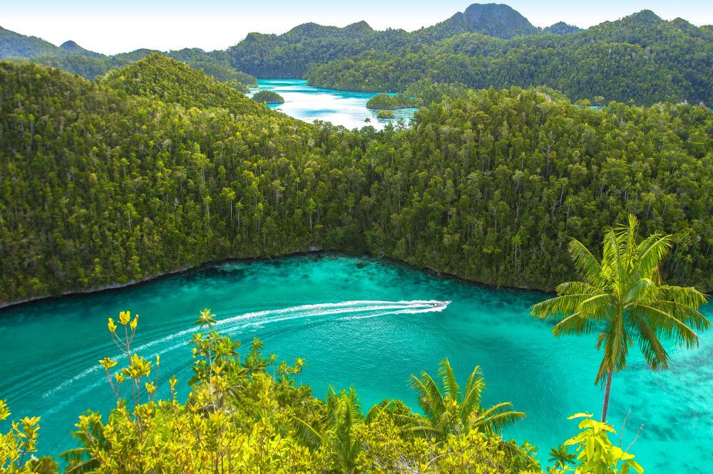 Indonesien | Westpapua • Raja Ampat - Kreuzfahrt im Inselparadies der vier Rajas